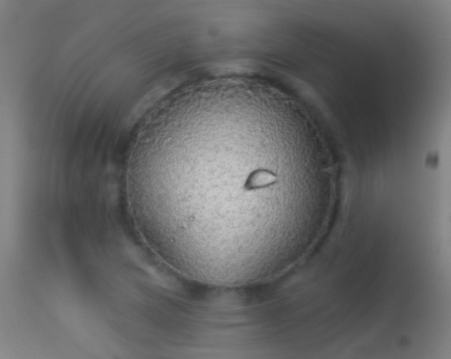 X0000114131217200910151537