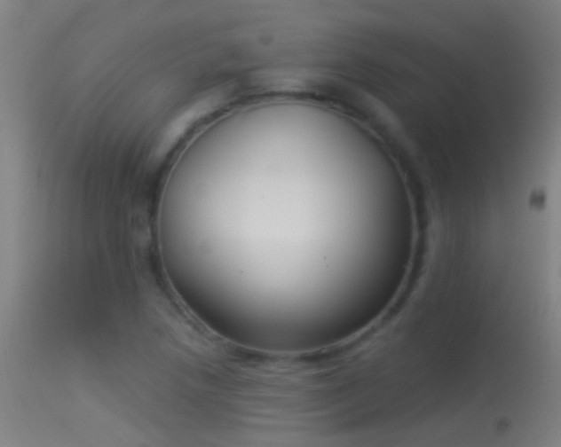 X0000114131218200910151537