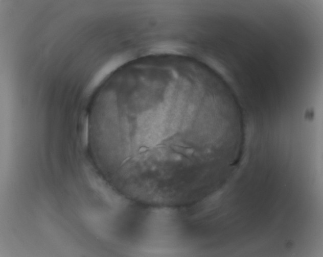 X0000114131219200910151537