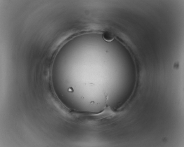 X0000114131220200910151537