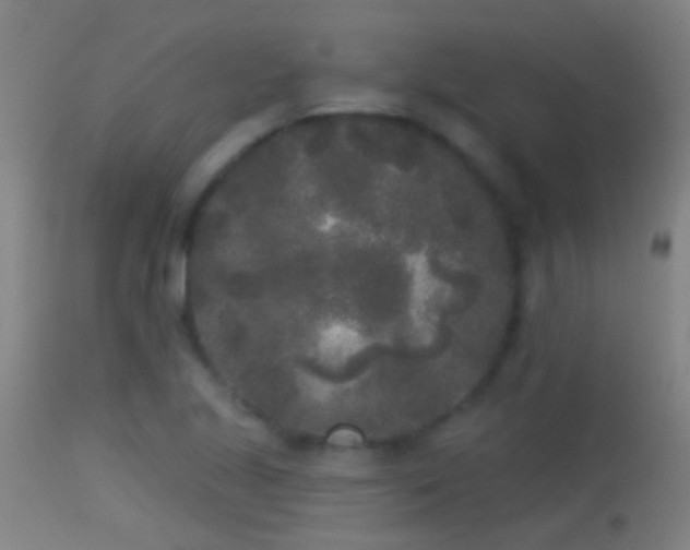 X0000114131221200910151537