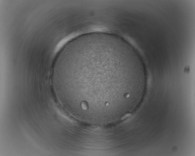 X0000114131222200910151537