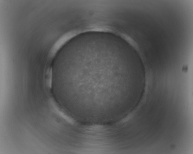 X0000114131223200910151537