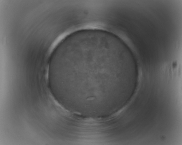 X0000114131224200910151537