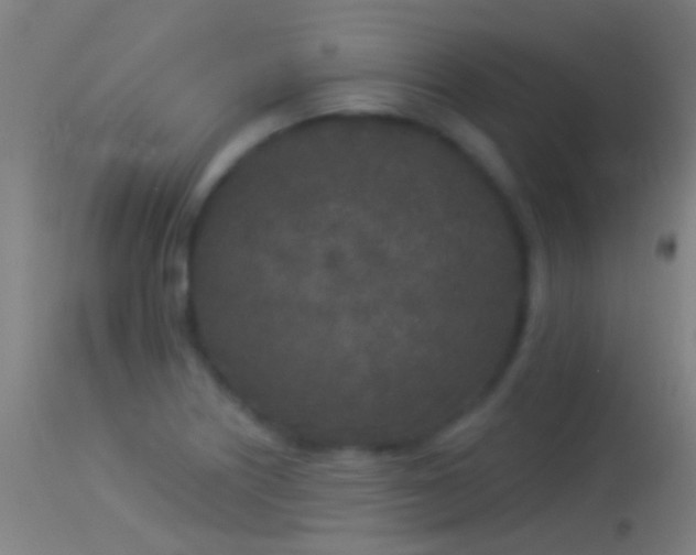 X0000114131226200910151537