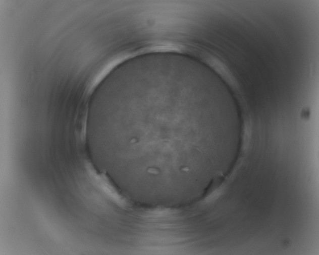 X0000114131228200910151537