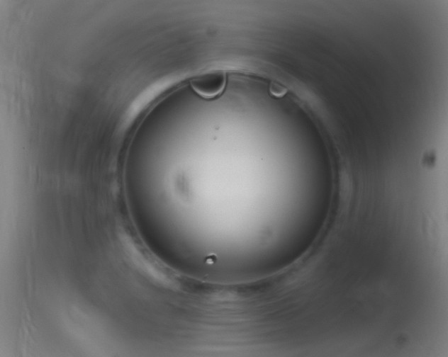 X0000114131230200910151537