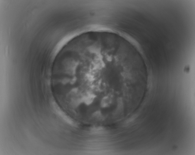 X0000114131231200910151537