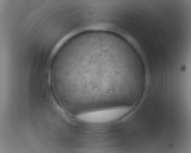 X0000114131232200910151537