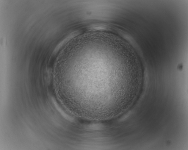 X0000114131233200910151537