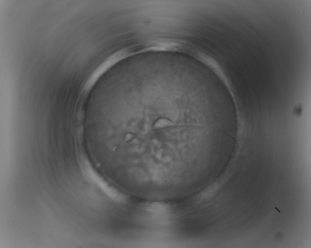 X0000114131235200910151537