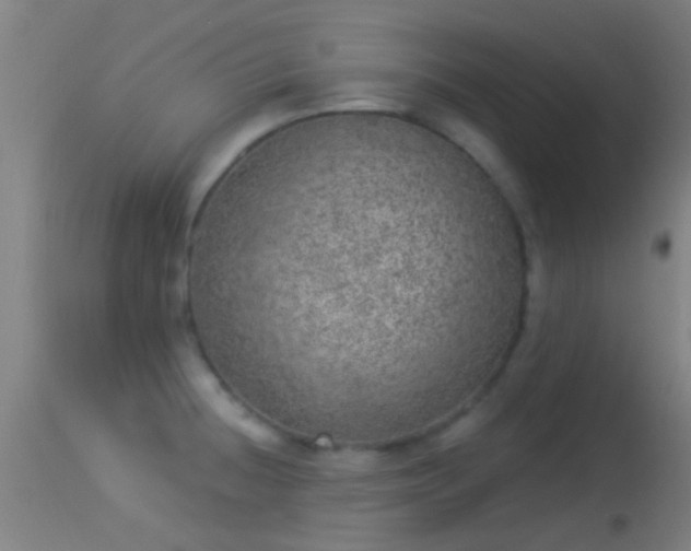 X0000114131236200910151537