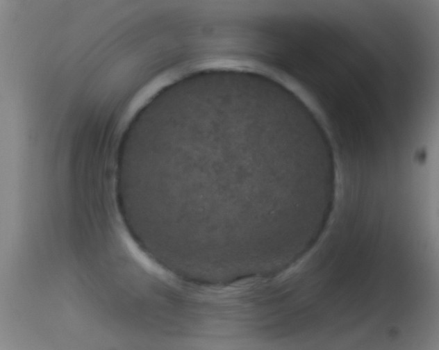 X0000114131237200910151537