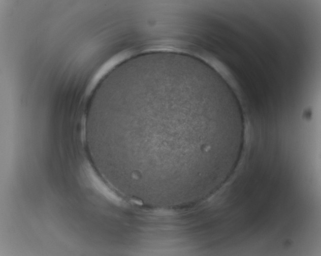 X0000114131238200910151537