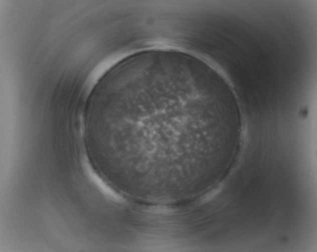 X0000114131239200910151537