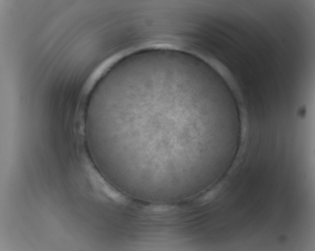 X0000114131240200910151537