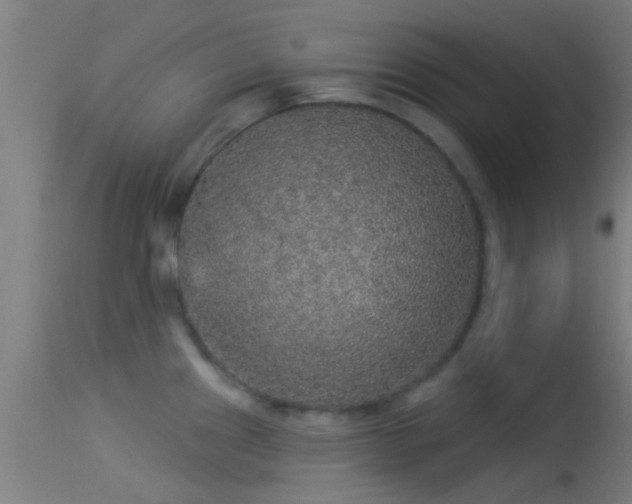 X0000114131241200910151537