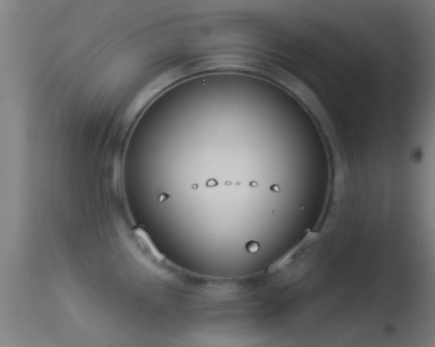 X0000114131242200910151537