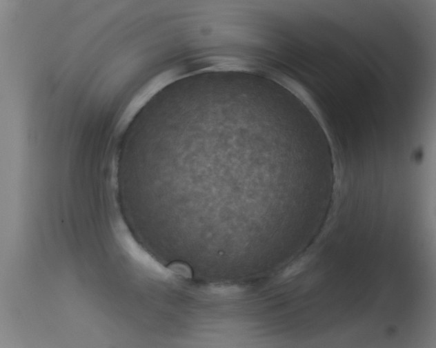 X0000114131243200910151537