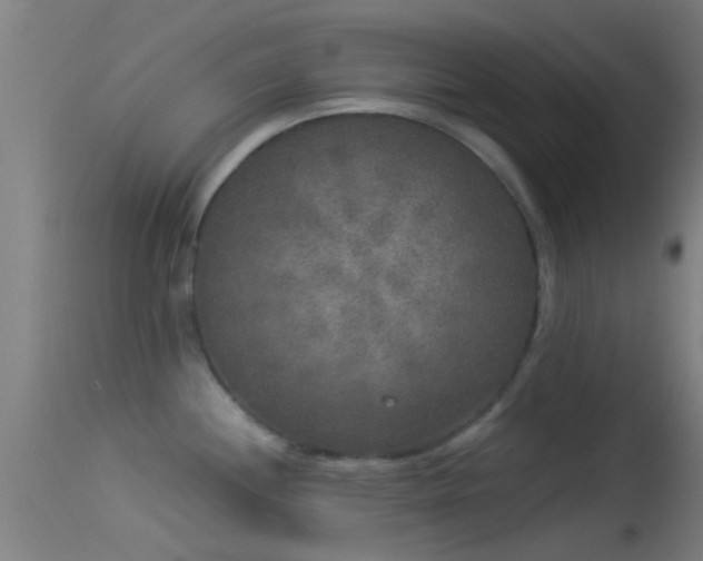 X0000114131244200910151537