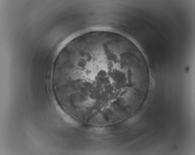 X0000114131245200910151537