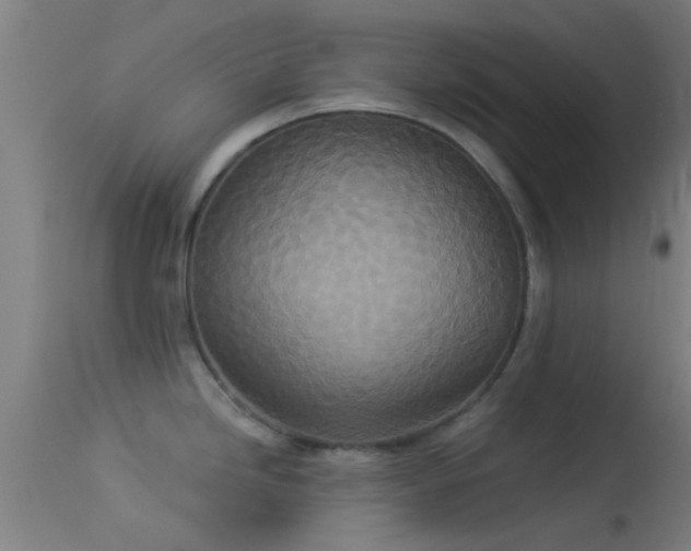 X0000114131246200910151537