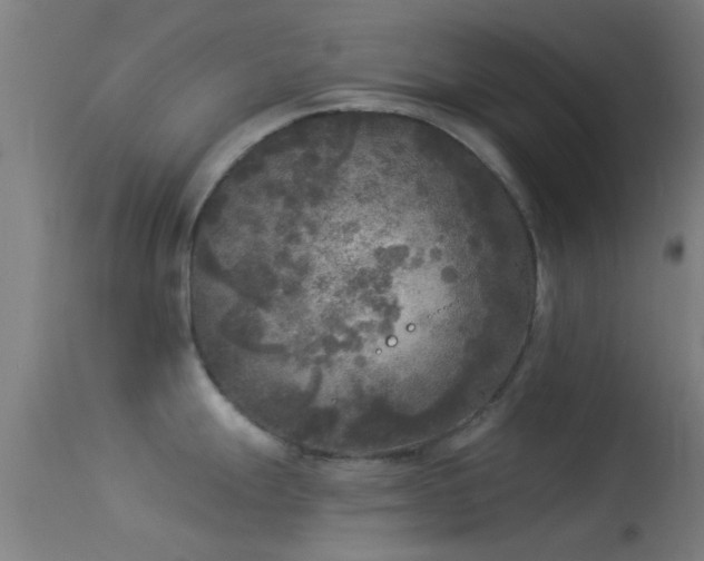 X0000114131247200910151537