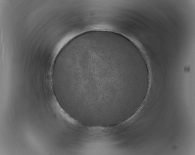 X0000114131248200910151537