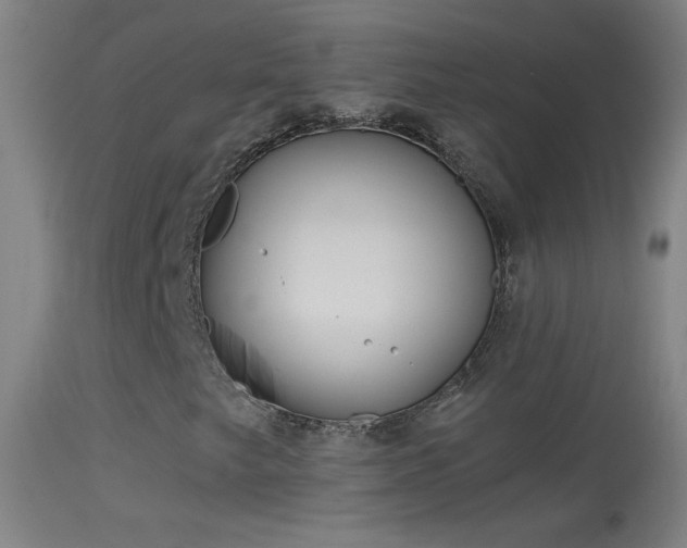 X0000114131249200910151537