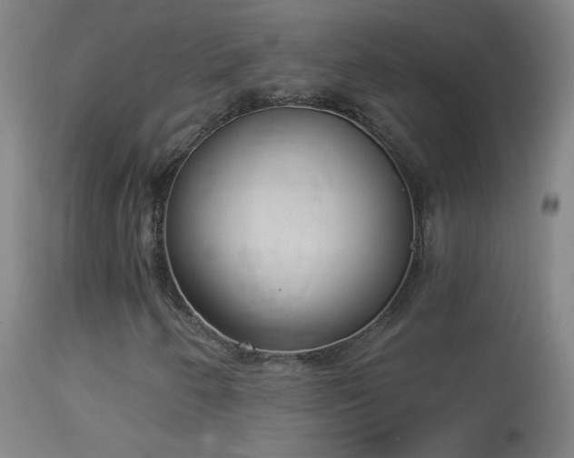 X0000114131250200910151536