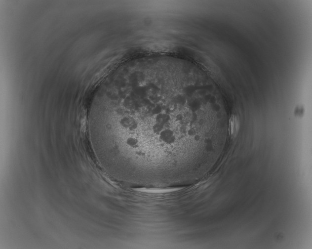 X0000114131251200910151536