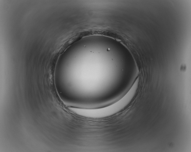 X0000114131252200910151536