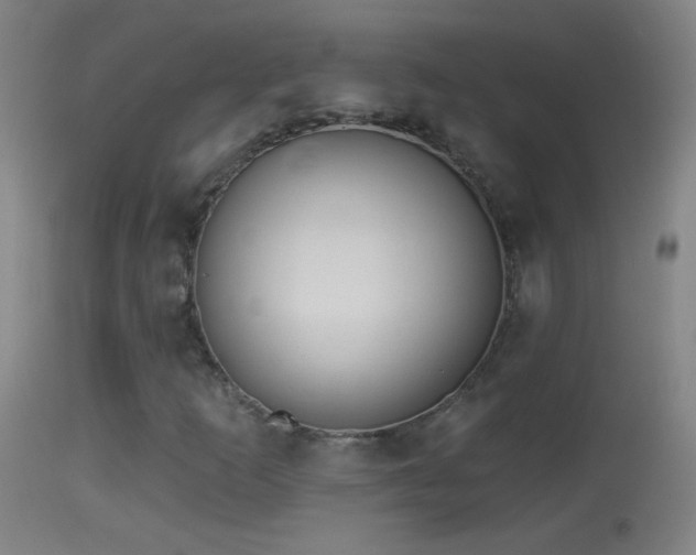 X0000114131253200910151536