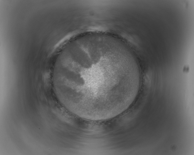 X0000114131254200910151536