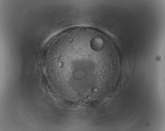 X0000114131255200910151536