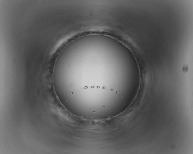 X0000114131256200910151536