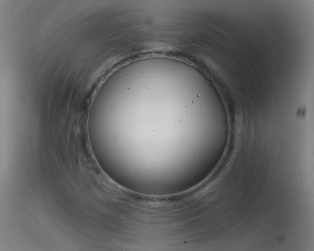 X0000114131257200910151536