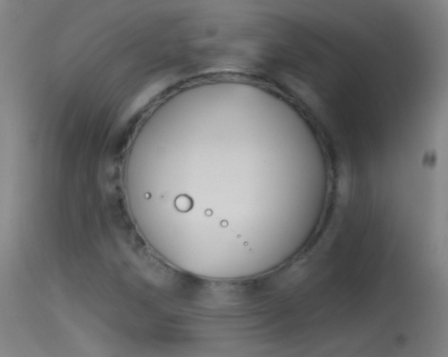 X0000114131258200910151536