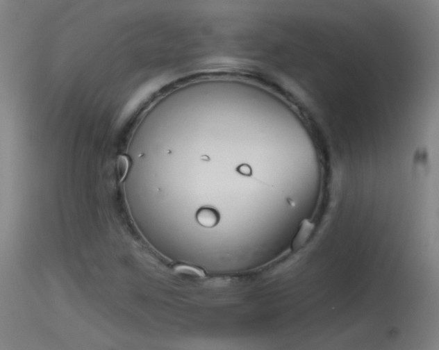 X0000114131259200910151536