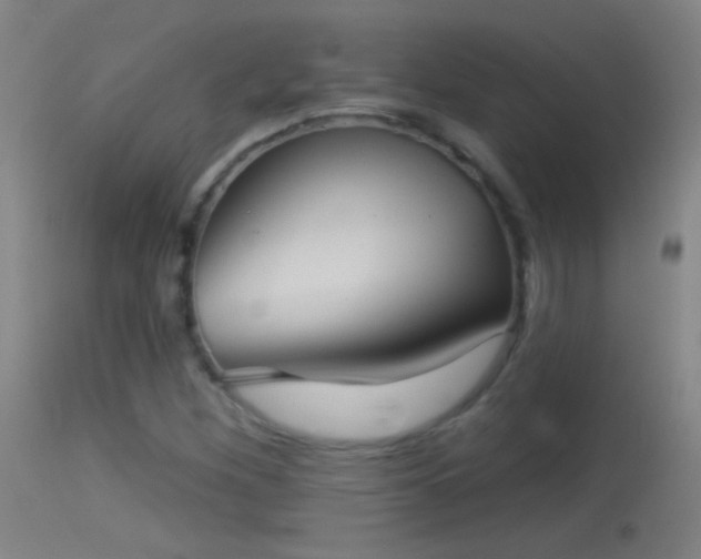 X0000114131260200910151536