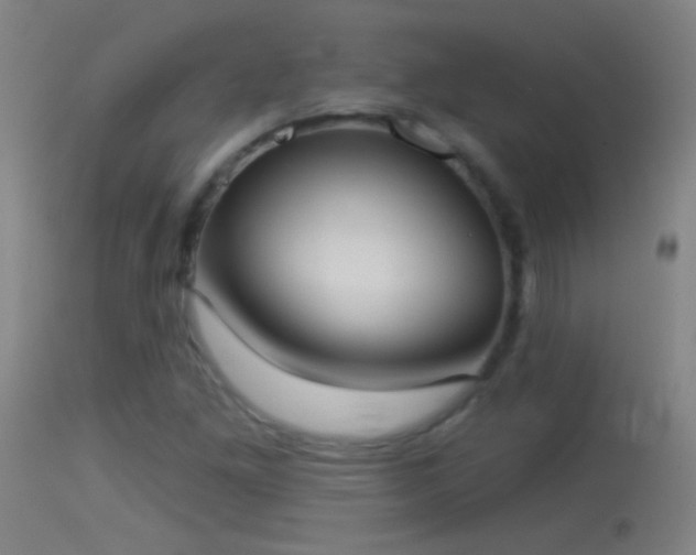 X0000114131261200910151536