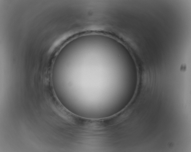 X0000114131262200910151536