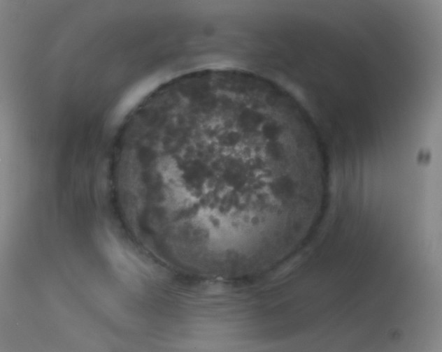 X0000114131263200910151536