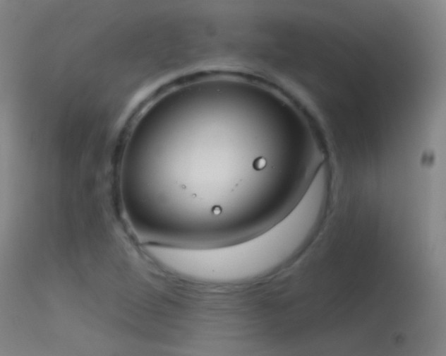 X0000114131264200910151536