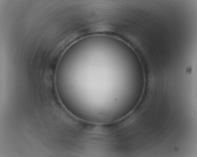 X0000114131265200910151536