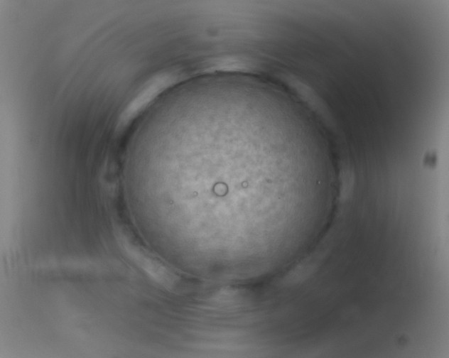 X0000114131266200910151536