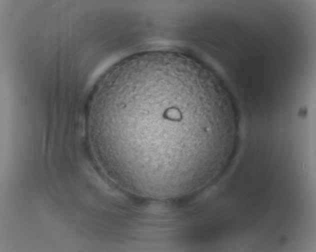 X0000114131267200910151536