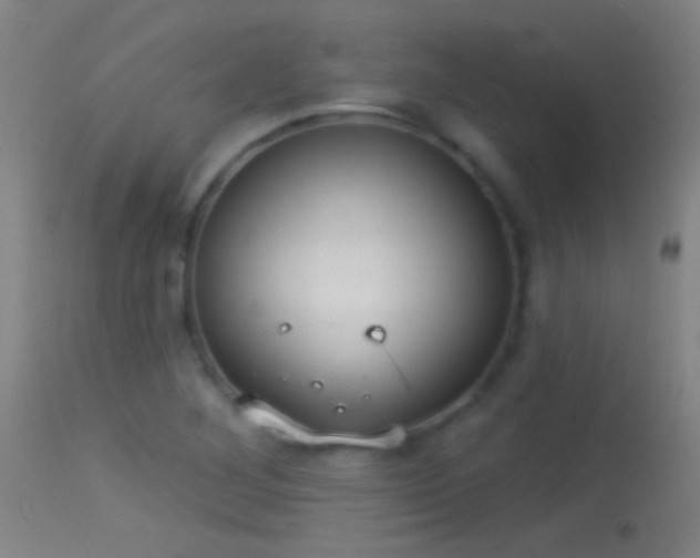 X0000114131268200910151536