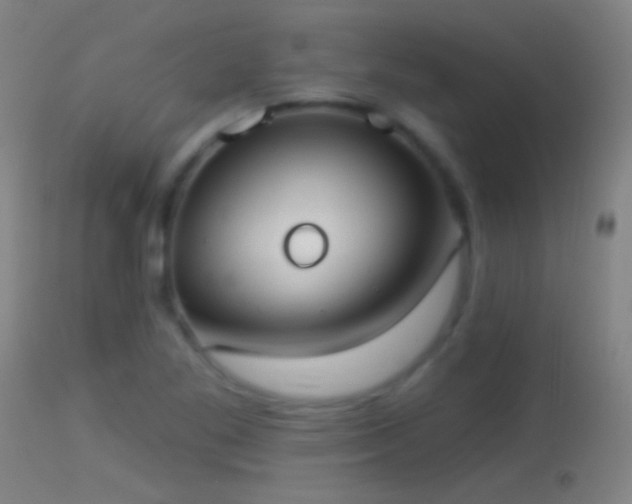 X0000114131269200910151536