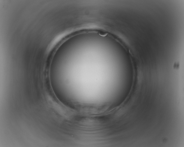 X0000114131270200910151536